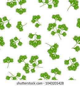 seamless pattern coriander herb, food vector illustration on white background
