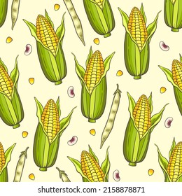 Seamless pattern with corn and beans. Hand drawn vector background. 