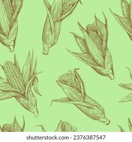 Seamless pattern with corn cobs. Drawing in old retro engraving style. Hand drawn detailed botanical illustration
