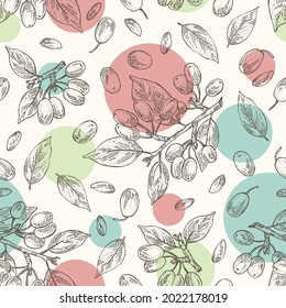 Seamless pattern with cornel: plant, leaves and cornel berries. Cornus mas. Cosmetic and medical plant. Vector hand drawn illustration