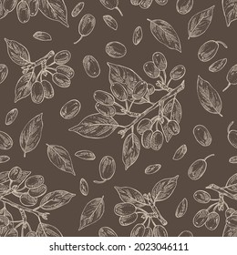 Seamless pattern with cornel: plant, leaves and cornel berries. Cornus mas. Cosmetic and medical plant. Vector hand drawn illustration