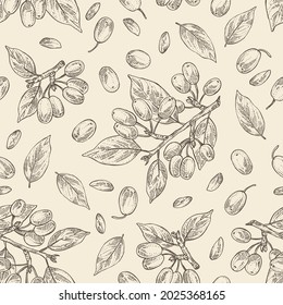 Seamless pattern with cornel: plant, leaves and cornel berries. Cornus mas. Cosmetic and medical plant. Vector hand drawn illustration