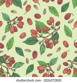 Seamless pattern with cornel: plant, leaves and cornel berries. Cornus mas. Cosmetic and medical plant. Vector hand drawn illustration