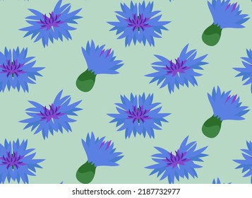 Seamless pattern with cornflower buds. Texture with wildflowers in cartoon style.