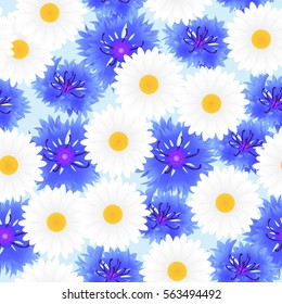 Seamless pattern of cornflower and daizy flowers