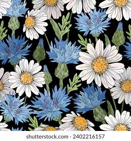 Seamless pattern with cornflowers and daisies on black background. Wild flowers design. Vector illustration