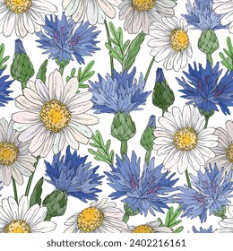 Seamless pattern with cornflowers and daisies. Wild flowers design. Vector illustration