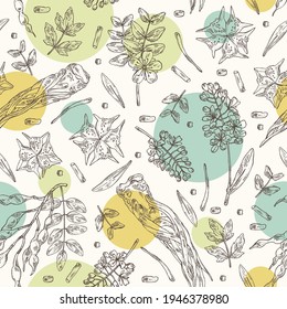 Seamless pattern with cosmetic and medical plants: sophora japonica flower and pod, angelica sinensis root, flowers of tribulus terrestris, isatis tinctoria flowers. Vector hand drawn illustrations