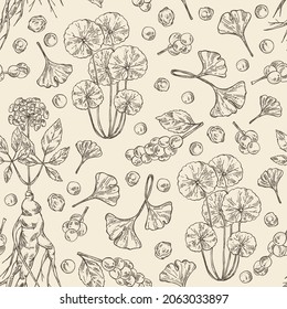 Seamless pattern with cosmetic and medical plants: ginkgo biloba, ginseng root, centella asian gotu kola and schisandra chinese. Vector hand drawn illustration