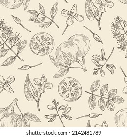 Seamless pattern with cosmetic and medical plants: houttuynia cordata, bengal quince, baile fruit ,indigo and lawsonia inermis. Vector hand drawn illustration