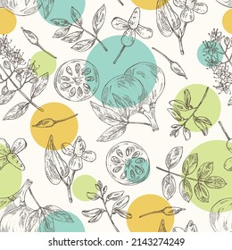 Seamless pattern with cosmetic and medical plants: houttuynia cordata, bengal quince, baile fruit ,indigo and lawsonia inermis. Vector hand drawn illustration