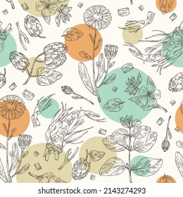 Seamless Pattern With Cosmetic And Medical Plants: Cone Of Hops, Calendula Flowers, Melissa, Lemon Balm And Althea Officinalis Flower. Vector Hand Drawn Illustration