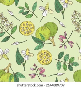 Seamless pattern with cosmetic and medical plants: houttuynia cordata, bengal quince, baile fruit ,indigo and lawsonia inermis. Vector hand drawn illustration