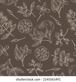 Seamless pattern with cosmetic and medical plants: houttuynia cordata, bengal quince, baile fruit ,indigo and lawsonia inermis. Vector hand drawn illustration