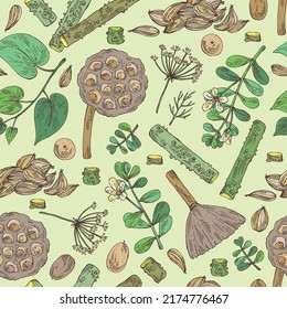 Seamless pattern with cosmetic and medical plants: lotus seeds, brahmi flowers, guduchi plant, indigo and azhgon seeds. Vector hand drawn illustration
