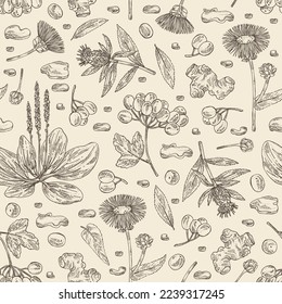 Seamless pattern cosmetic and medical plants: viburnum berries, large plantain, elecampane flower, lonicera pileata and atraktylodes large root. Vector hand drawn illustration