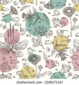 Seamless pattern cosmetic and medical plants: viburnum berries, large plantain, elecampane flower, lonicera pileata and atraktylodes large root. Vector hand drawn illustration