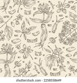 Seamless pattern with cosmetic and medical plants: gentiana macrophylla, large leaf gentian, eucommia ulmoides, alangium chinense and dichroa febrifuga lour. Vector hand drawn illustration