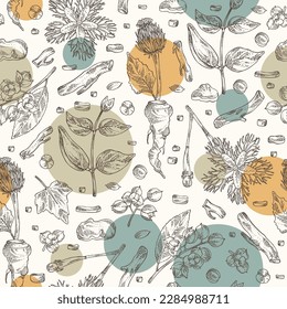 Seamless pattern with cosmetic and medical plants: saussurea costus, сelastrus paniculatus, leptadenia reticulata, trichosanthes japonica. Vector hand drawn illustration