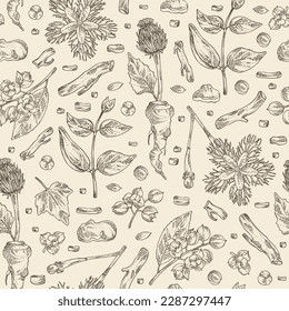 Seamless pattern with cosmetic and medical plants: saussurea costus, сelastrus paniculatus, leptadenia reticulata, trichosanthes japonica. Vector hand drawn illustration