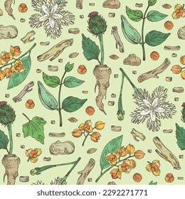 Seamless pattern with cosmetic and medical plants: saussurea costus, сelastrus paniculatus, leptadenia reticulata, trichosanthes japonica. Vector hand drawn illustration