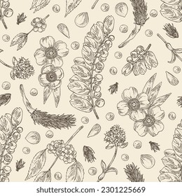 Seamless pattern with cosmetic and medical plants: nardostachys jatamansi, nard, phyllanthus niruri, mesua ferrea, callicarpa macrophylla. Vector hand drawn illustration svg
