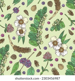 Seamless pattern with  cosmetic and medical plants: nardostachys jatamansi, nard, phyllanthus niruri, mesua ferrea, callicarpa macrophylla. Vector hand drawn illustration svg