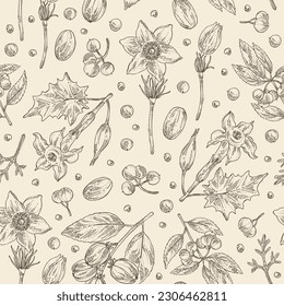 Seamless pattern with cosmetic and medical plants: datura stramonium, pulsatilla chinensis, croton tiglium, ardisia japonica. Vector hand drawn illustration