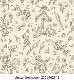 Seamless pattern with cosmetic and medical plants: dendrobium nobile, flueggea suffruticosa, rehmannia glutinosa, cissampelos pareira. Vector hand drawn illustration