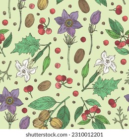 Seamless pattern with cosmetic and medical plants: datura stramonium, pulsatilla chinensis, croton tiglium, ardisia japonica. Vector hand drawn illustration