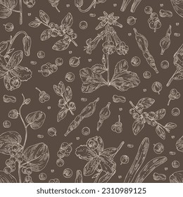 Seamless pattern with cosmetic and medical plants: dendrobium nobile, flueggea suffruticosa, rehmannia glutinosa, cissampelos pareira. Vector hand drawn illustration