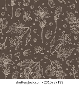 Seamless pattern with cosmetic and medical plants: datura stramonium, pulsatilla chinensis, croton tiglium, ardisia japonica. Vector hand drawn illustration