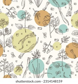 Seamless pattern of cosmetic and medical plants: rubia cordifolia, boerhavia diffusa, punarnava, pterocarpus marsupium, indian kino tree, cyperus rotundus, nagarmotha. Vector hand drawn illustration