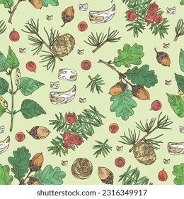 Seamless pattern with cosmetic and medical plants: larix, quercus, betulaceae bark, taxus baccata. Vector hand drawn illustration