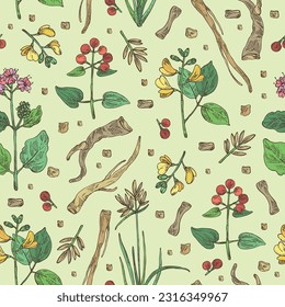 Seamless pattern with cosmetic and medical plants: rubia cordifolia, boerhavia diffusa, punarnava, pterocarpus marsupium, indian kino tree, cyperus rotundus, nagarmotha. Vector hand drawn illustration