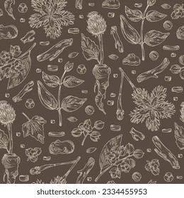 Seamless pattern with cosmetic and medical plants: saussurea costus, сelastrus paniculatus, leptadenia reticulata, trichosanthes japonica. Vector hand drawn illustration