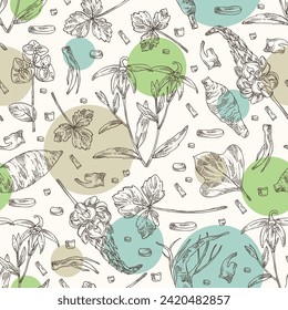 Seamless pattern with cosmetic and medical plants: lobelia chinensis flowers, pueraria lobata, cryptotaenia japonica, euphorbia pekinensis. Vector hand drawn illustration