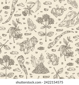 Motif harmonieux de plantes cosmétiques et médicales : origanum vulgare, racines officielles du rheum, carthamus tinctorius, codonopsis lanceolata. Image vectorielle illustration dessinée à la main