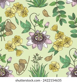 Seamless pattern with cosmetic and medical plants: senna alexandrina, passiflora incarnata, evening primula, oenothera plant, new zealand flax. Vector hand drawn illustration