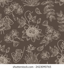 Seamless pattern with cosmetic and medical plants: senna alexandrina, passiflora incarnata, evening primula, oenothera plant, new zealand flax. Vector hand drawn illustration