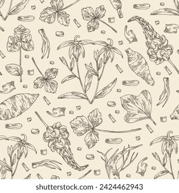 Seamless pattern with cosmetic and medical plants: lobelia chinensis flowers, pueraria lobata, cryptotaenia japonica, euphorbia pekinensis. Vector hand drawn illustration