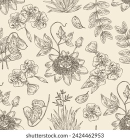 Seamless pattern with cosmetic and medical plants: senna alexandrina, passiflora incarnata, evening primula, oenothera plant, new zealand flax. Vector hand drawn illustration