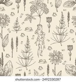 Seamless pattern with cosmetic and medical plants: large plantain, arnica montana, equisetum, eleutherococcus. Vector hand drawn illustration