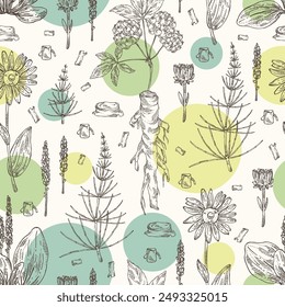 Seamless pattern with cosmetic and medical plants: large plantain, arnica montana, equisetum, eleutherococcus. Vector hand drawn illustration