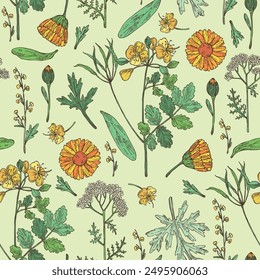 Seamless pattern with cosmetic and medical plants: wormwood, yarrow flowers, calendula, celandine. Vector hand drawn illustration