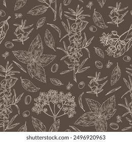 Seamless pattern with cosmetic and medical plants:  linden flower, mint, black elderberry, sea buckthorn berries. Vector hand drawn illustration