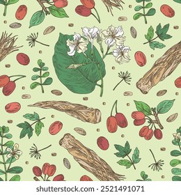 Seamless pattern with cosmetic and medical plants: cornel berries, bacopa monier, brahmi, angelica sinensis root, chonemorpha macrofylla. Vector hand drawn illustration