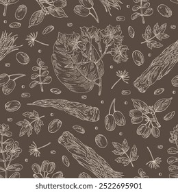 Seamless pattern with cosmetic and medical plants: cornel berries, bacopa monier, brahmi, angelica sinensis root, chonemorpha macrofylla. Vector hand drawn illustration