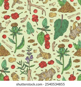 Seamless pattern with cosmetic and medical plants: baikal skullcap, rheum officinale, carthamus tinctorius, schisandra chinensisi. Vector hand drawn illustration