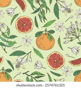 Seamless pattern with cosmetic and medical plants: neroli flowers, jasmine, eucalyptus, grapefruit. Vector hand drawn illustration